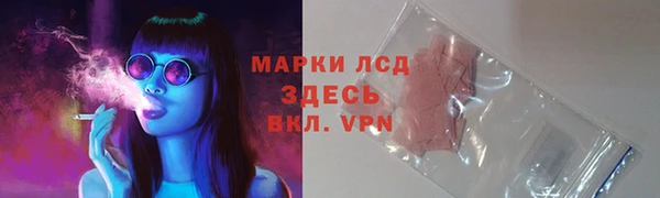 прущие крисы Абаза