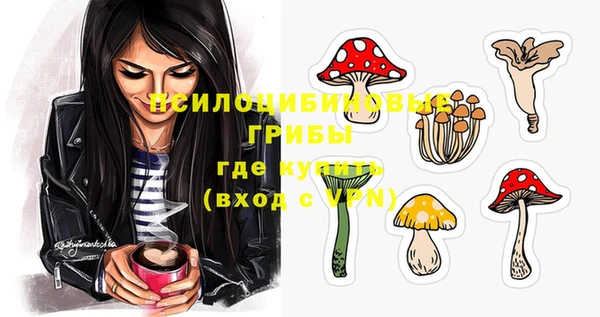 прущие крисы Абаза