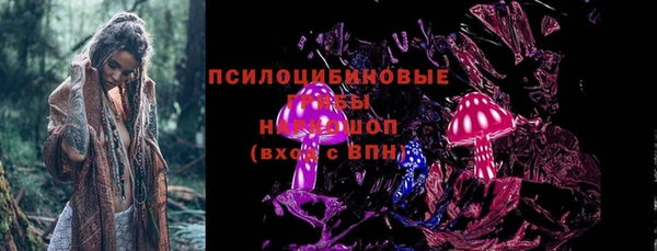 прущие крисы Абаза
