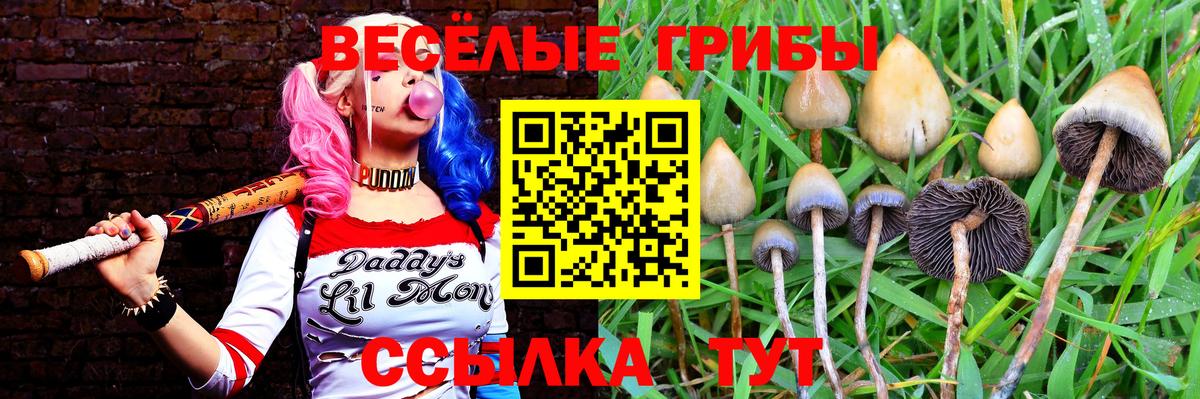 Тында  Галлюциногенные грибы мухоморы  Галлюциногенные грибы Cubensis  Вход с VPN 