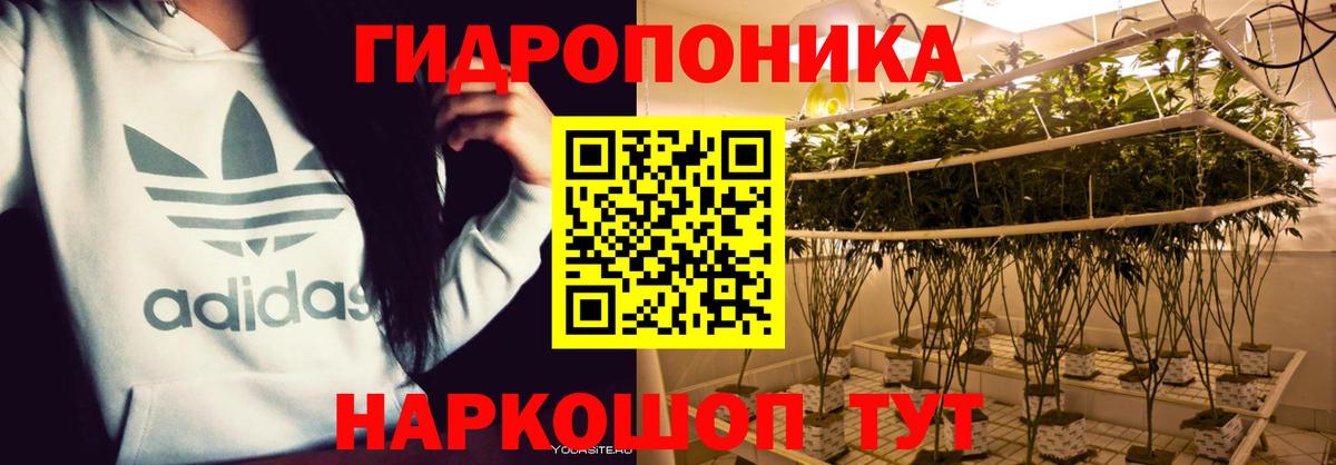 Каннабис White Widow  Вход с VPN  Канабис сатива  Тында  Бошки марихуана семена 
